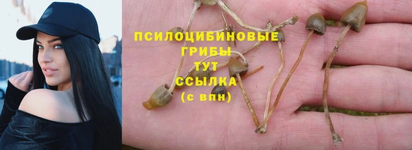 стаф Михайловка