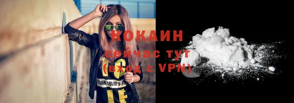 PSILOCYBIN Михайлов