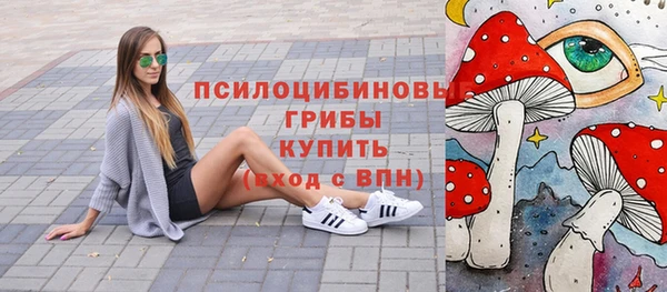 спиды Чекалин