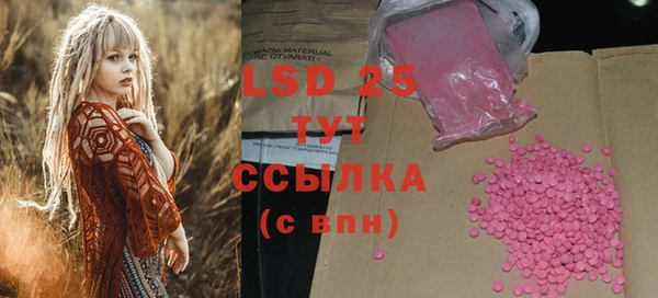 PSILOCYBIN Михайлов